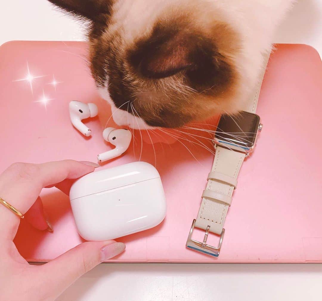 國嶋絢香のインスタグラム：「✔︎ new 🎧✨ 自分を戒めるために一ヶ月我慢したけど… やっぱり有線は不便すぎました🤷🏻‍♀️ . #私の三代目AirPods #一代目はトレセンで無くした #二代目はNU茶屋町にて #しかもイヤホン部分だけ  #三度目の正直 #大切に使います  #可愛いケース探し中  #映り込みたがり猫  #新入りの匂いチェックは入念に」