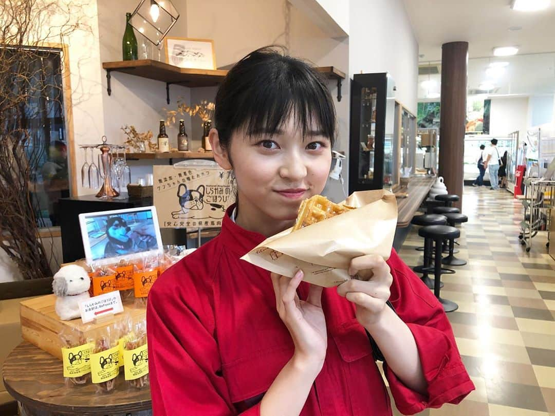 ジョナゴールドさんのインスタグラム写真 - (ジョナゴールドInstagram)「♥ 美味しいものいっぱい😋西目屋村！ ・ 今日の｢産地直送 西目屋最高｣ではみんなでそば打ちしたよ✌️ また早く道の駅 ビーチにしめやに行きたい🍯‪🍦‬ ・ 今度はコーヒー飲みたいなぁ！☕ ♥ #西目屋村 #西目屋 #nishimeya #ビーチにしめや #道の駅 #青森 #素敵な村」10月18日 21時35分 - jonagold_0323