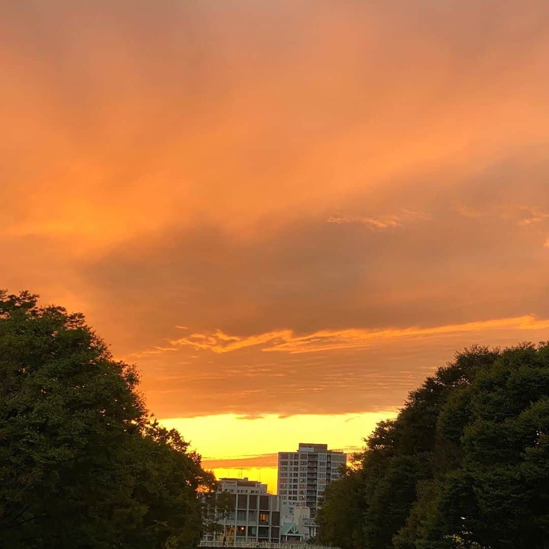 MICHIRUさんのインスタグラム写真 - (MICHIRUInstagram)「パワフルな夕焼け。 綺麗な茜色の空から最後はこの形に。 色々なものに見える〜👀  #夕焼け #夕焼け雲　#龍雲　#遠くに富士山」10月18日 21時49分 - barbiemichiru