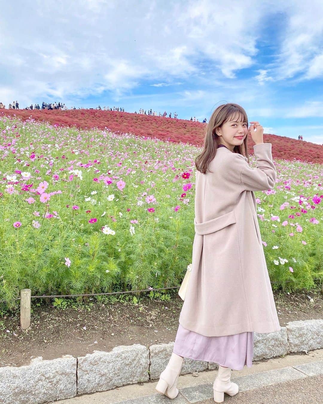 のインスタグラム：「❁⑅◡̈* . ひたち海浜公園へ。 何度も行っている場所だけど、コスモスとコキアの 時期は初かも…💭 . 肌寒いから着ていった、おろしたての @proportionbodydressing のコートは、 本当に本当にお気に入りのアイテム♡︎ どんな色味にも合わせられるし、きれいめコーデに 見せてくれる優秀アイテム！ 予期してなかったのにコスモスにすごくぴったりの コーディネートだった！(笑)  . #me #today #park #flower #coat #proportionbodydressing #proportion #pbd #ひたち海浜公園 #コキア #コスモス #コート #プロポ #プロポーションボディドレッシング #白ブーツ #ホワイトブーツ #イエベ春」