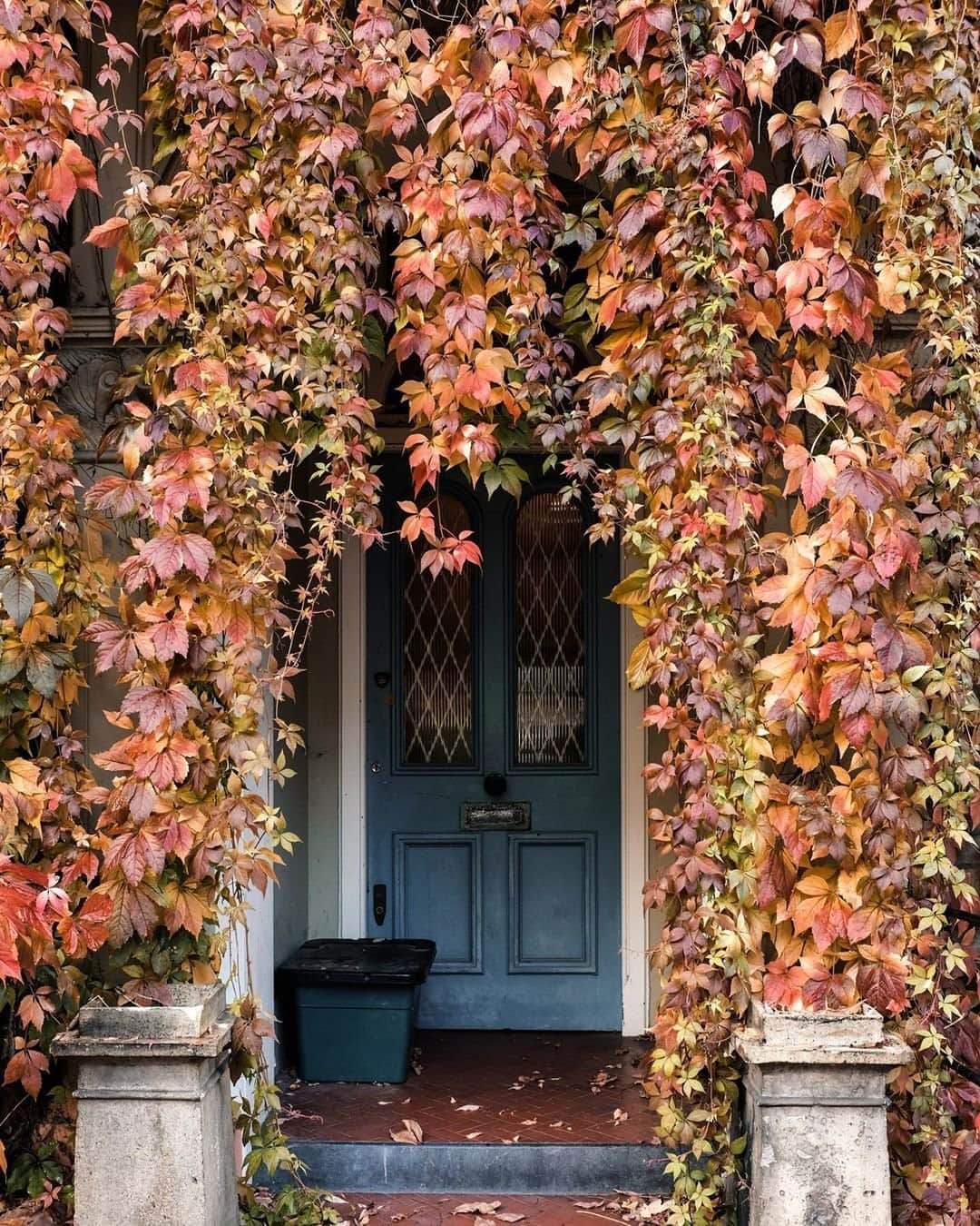 Travel + Leisureさんのインスタグラム写真 - (Travel + LeisureInstagram)「📍 London, United Kingdom... Decorating for fall is one of those simple and reliable pleasures that has its chance every year, regardless of any trials and tribulations (we're looking at you, 2020). Get our guide to fall decorating at the link in bio. 🍂 #tlpicks courtesy of @mylondonfairytales」10月18日 22時35分 - travelandleisure