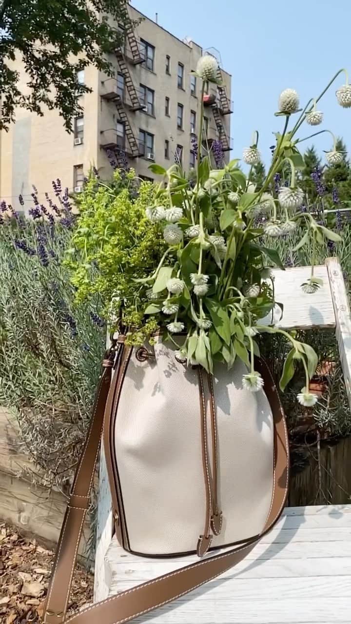マイケルコースのインスタグラム