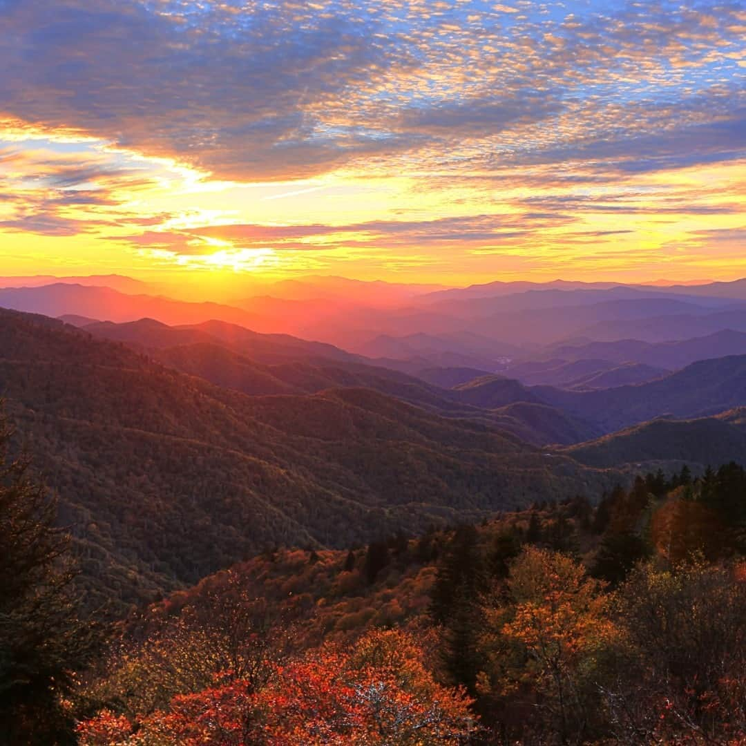 アメリカ内務省さんのインスタグラム写真 - (アメリカ内務省Instagram)「If you’ve never experienced the Blue Ridge Parkway in the fall, you’re missing out on something special. The rolling #mountains and forested ridges of #NorthCarolina and Virginia shimmer in the sunset like copper and gold. While we marvel at the views, birds soar higher on the rising winds, their sharp calls echoing from mountaintop to valley bottom. A short walk off the parkway puts you into a landscape of stout trees and rushing streams. You won’t want to leave. Photo @BlueRidgeNPS by Norman Lathrop (www.sharetheexperience.org). #BlueRidgeParkway  #usinterior」10月18日 23時50分 - usinterior