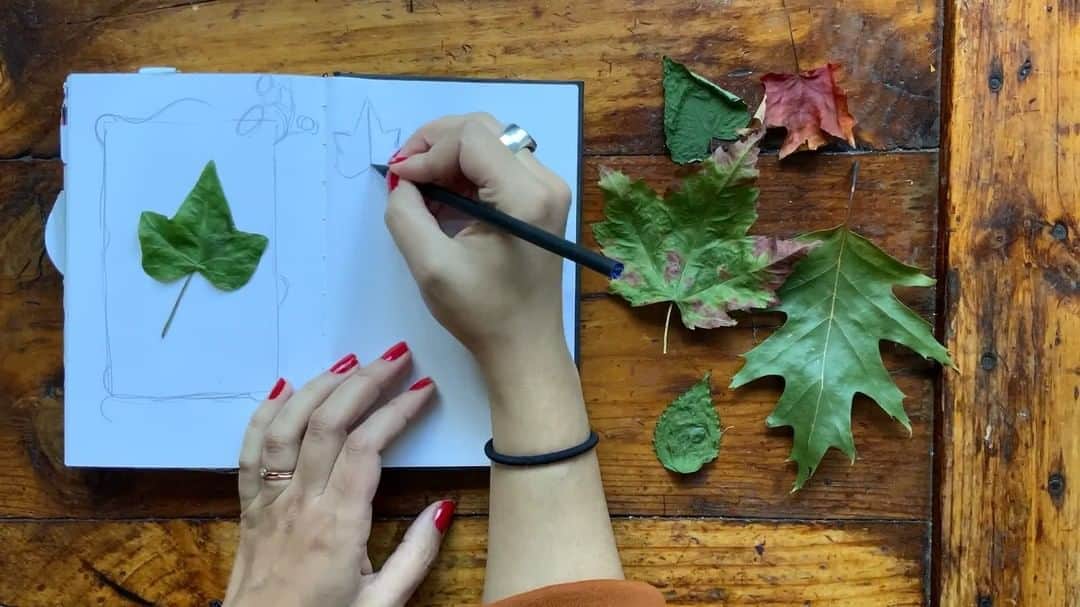 のインスタグラム：「Turn over a new leaf and try your hand at a drawing exercise inspired by the autumnal harvest and changing seasons in the @metcloisters garden. 🍂  Tap the link in bio and tune in for the latest session of our popular Drop-in Drawing series—and make sure to share what you create using the hashtag #MetSketch.」