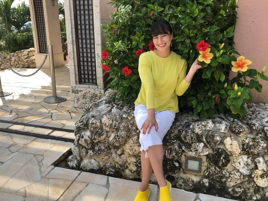 上野真衣のインスタグラム：「🌺🌺🌺🌺✨ 黄色や八重のハイビスカス、 ピンクの鮮やかな花も綺麗だなぁ！ いい香り💕 ・ #ハイビスカス🌺  #ハイビスカス  #沖縄お土産 #ハイビスカス入浴剤 #ハイビスカスマスク #フェイスマスク #南国リゾート  #南国ガーデン」