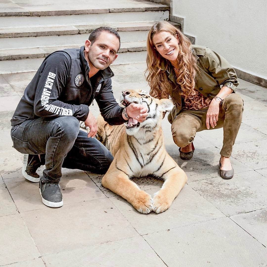 Black Jaguar-White Tiger さんのインスタグラム写真 - (Black Jaguar-White Tiger Instagram)「Old post by my friend @michaeldidonna Inspiring to see @EduardoSerio and @Swarovski join forces to save animals. The #EndangeredByFiona campaign is designed to help @blackjaguarwhitetiger rescue animals from a life of abuse in circuses, zoos and from illegal breeders. #thinkblue #GiveBrilliant #ThankYou #ItsAllForLove #BeHuman #SaveOurPlanet #SaveTigers #BJWT #Swarovski」10月19日 0時29分 - blackjaguarwhitetiger