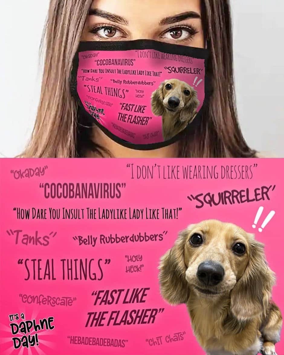Crusoe the Celebrity Dachshundさんのインスタグラム写真 - (Crusoe the Celebrity DachshundInstagram)「“Many of you have been asking for a long time, so finally presenting Crusoe face mask! And they’re pretty cute if I do say so! Masks have 3 layers, slot for filter, and stretchy straps. Link in profile!” ~ Crusoe」10月19日 0時30分 - crusoe_dachshund