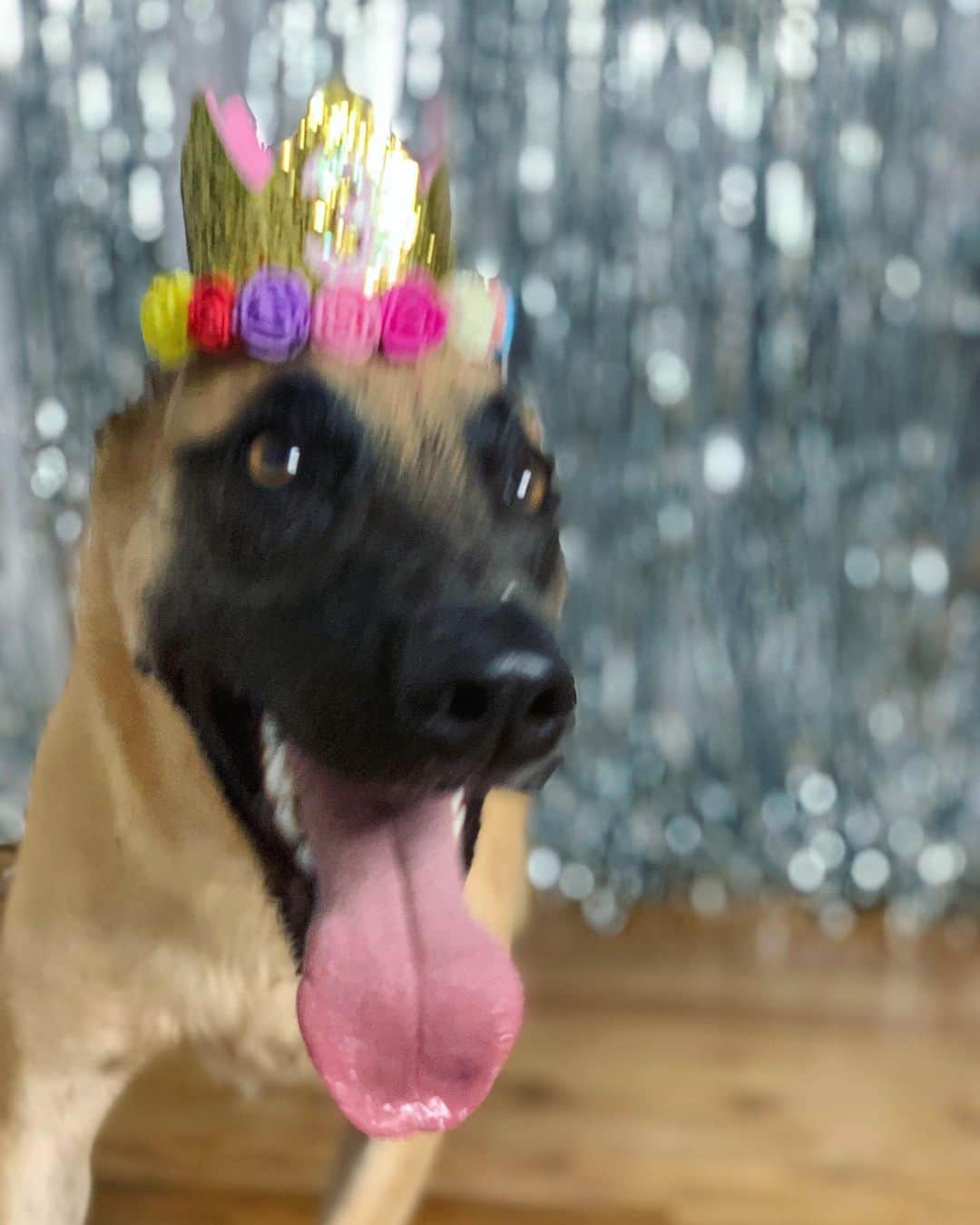 ローレン・ジャーマンのインスタグラム：「Happy 3rd birthday baby 🎉🎃💞🍁🎂🥰🍂」