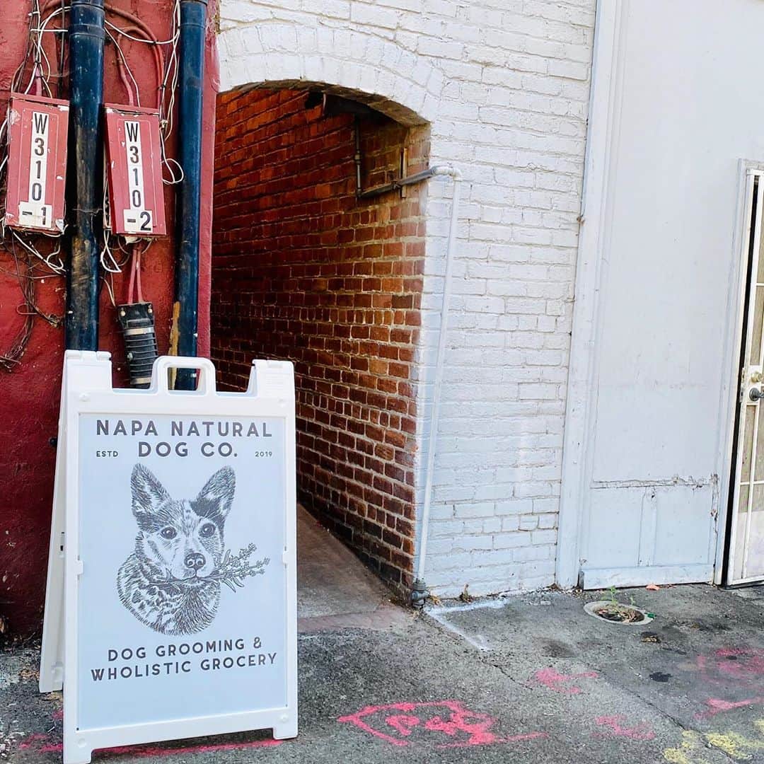 Dogs by Ginaのインスタグラム：「New sign, same building. Its crazy to think that back in March I had 500 postcards printed with our new shop opening date of April 2020 😂 (they are in a box in my car-still. Here we are 7 mo in and we are still working out of our temporary location. Ive gone through a few hires and almost lost faith in human’s ethic. But! I can finally say confidently I am proud of the women I have working with me today and cant wait to get in that new beautiful space that is finally being worked on 🙌🏼 Did I mention I also have the most kick ass landlord!」