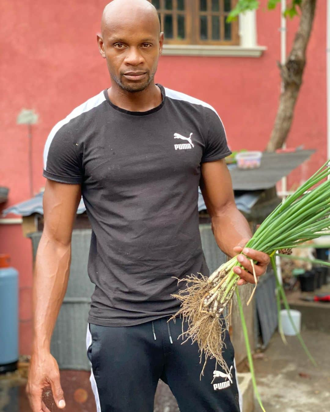 アサファ・パウエルさんのインスタグラム写真 - (アサファ・パウエルInstagram)「Got some farm produce the other day from my little farm, I harvested my scallions wrong 😑 but now I know」10月19日 0時44分 - asafasub10king