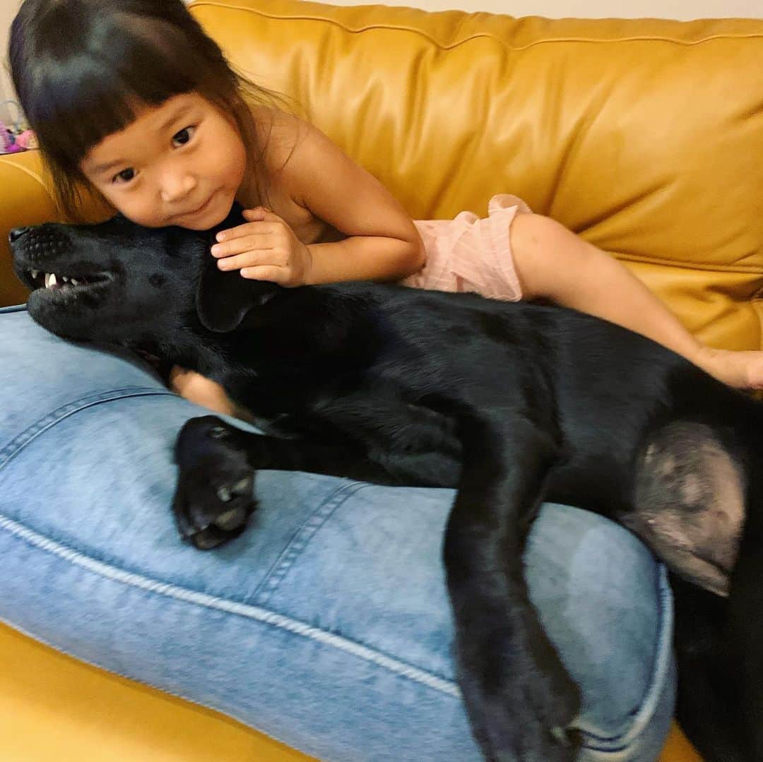 藤井惠さんのインスタグラム写真 - (藤井惠Instagram)「犬と猫と娘っ子👧🖐」10月19日 1時08分 - megumi_fujii