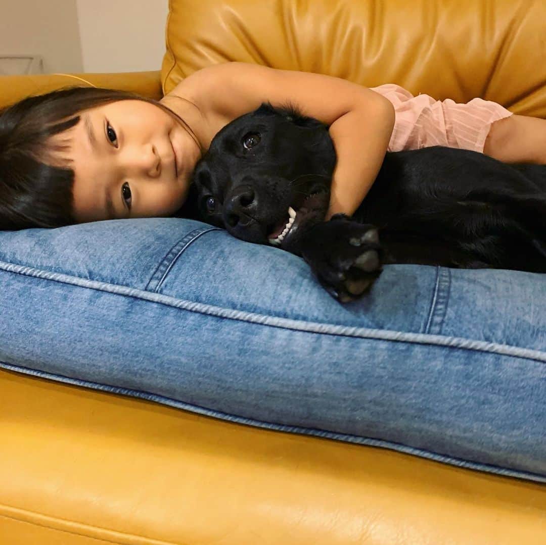 藤井惠さんのインスタグラム写真 - (藤井惠Instagram)「犬と猫と娘っ子👧🖐」10月19日 1時08分 - megumi_fujii