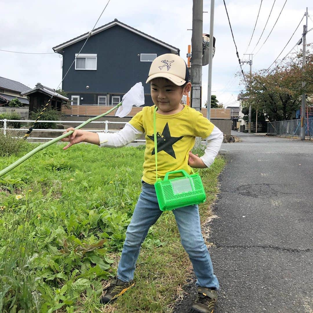 生島早織さんのインスタグラム写真 - (生島早織Instagram)「日曜日❣️  双子達は別行動の午後😊  長男はじーじと畑仕事→川で魚釣🎣  次男は、私と蝶採り🦋→精米🌾→花市場🌼  長男はいつも通りの外遊びですが、次男が外で遊び続けるのは珍しい😅  虫嫌いの次男も蝶だけは🦋👍 蝶も魚も収穫あり👍  お花好きの次男は、玄米から白米になるのを見れて大喜び🤣 その後行った花問屋さんではテンションマックス🤣❣️  自宅に帰ってからも長男と合流して鉢をあっちへ置いたりこっちへ置いたり💐  明日は、今日捕ったお魚や海老を幼稚園に持って行くらしい。  コウロギやバッタも待って行って欲しいけど😅  今は夏から飼っているカブトムシの籠 クワガタの籠 コウロギの籠 ザリガニの籠 魚海老の籠 バッタの籠  もうこれ以上は・・・😅  冬になれば無くなるのかな？  まっ、虫捕りに一緒に行けるだけでも私成長したわ〜😅  全力投球の週末が終わった😃  また明日から頑張ろう⛳️  #双子育児 #双子ママ #双子それぞれ #双子あるある #じーじ大活躍 #週末の過ごし方 #週末終わったー」10月19日 1時19分 - saori.ikushima