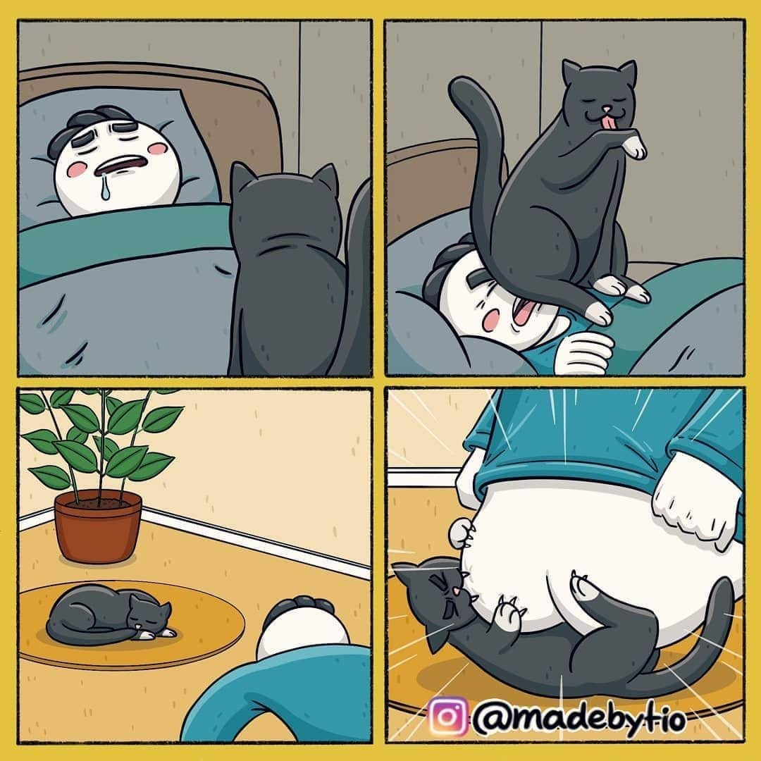 Aww Clubさんのインスタグラム写真 - (Aww ClubInstagram)「Have a taste of your own medicine⠀ ⠀ ✍🏼@madebytio⠀ ⠀ #meowed #madebytio #revenge #butt #🍑 #webcomics #igcomic」10月19日 2時00分 - meowed