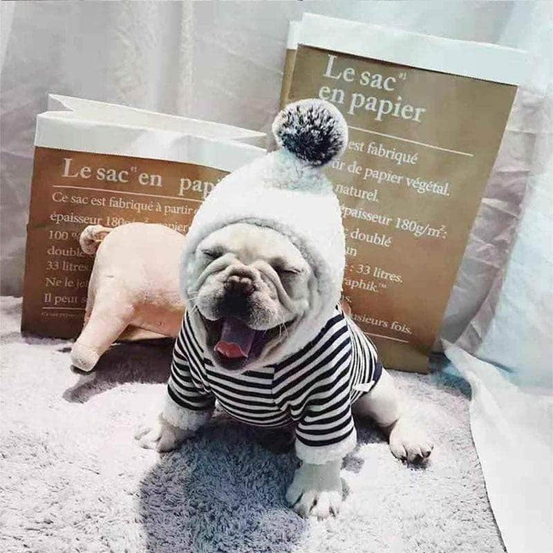 French Bulldogさんのインスタグラム写真 - (French BulldogInstagram)「Winter Warm Striped Pompom Hoodie by @frenchie.world 🌨❄🐒 . . . . . #frenchie #puppyvideo #dogsofinstagram #bulldoglove #frenchielove #frenchiesofinstagram #funnyvideos #bully #funnyvideos #batpig #cutepuppy #frenchielovers #fransebulldog #ilovemyfrenchie #puppylove #frenchieworld #frenchiepuppy #puppy #buzzfeedanimals #frenchbulldog #frogdog #bulldogsofinstagram #viralvideos #video #toocoolforschool #puppiesofinstagram #frenchie #frenchieconnect #frenchbulldogs」10月19日 2時26分 - frenchie.world