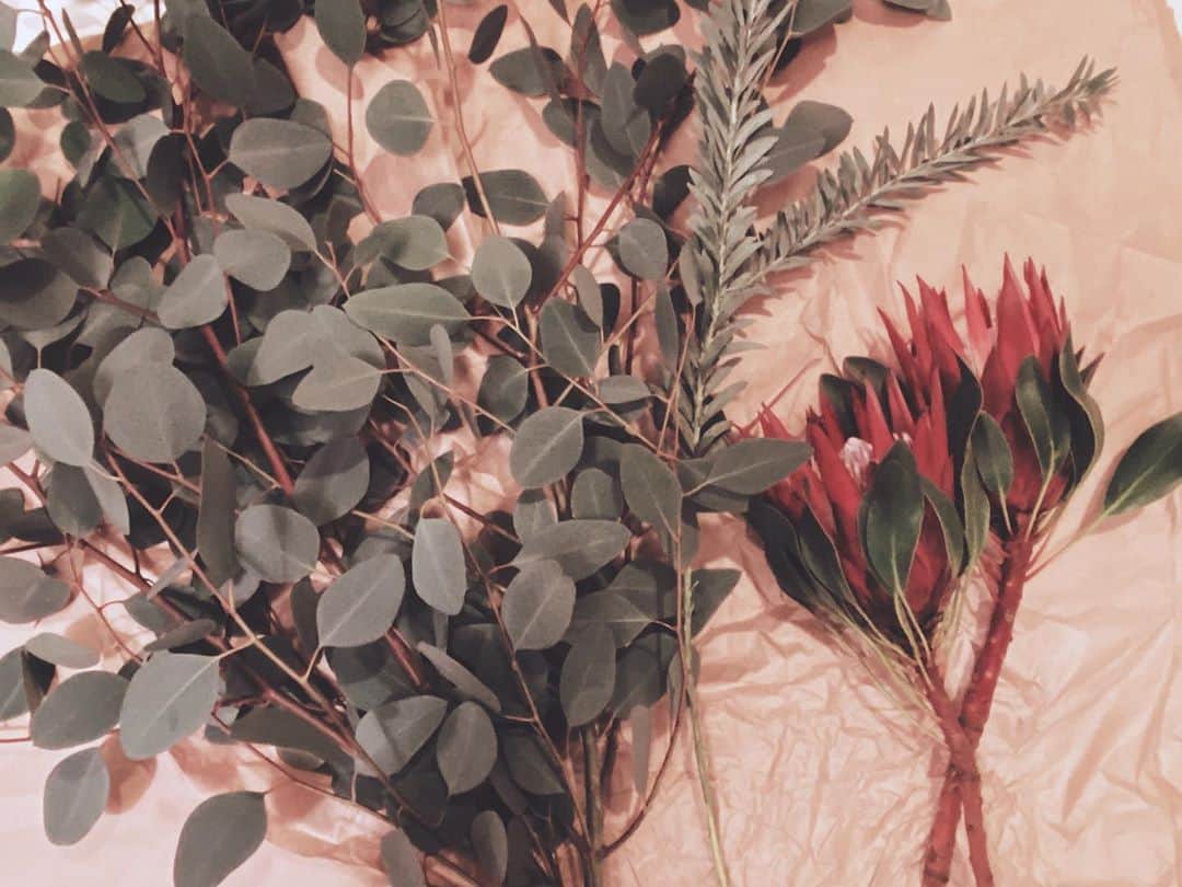 遠海まりこさんのインスタグラム写真 - (遠海まりこInstagram)「Flower series ﻿ ———————————————————————﻿ ﻿ ﻿  #protea #botanicalflowers #botanical #southafrica #flower #flowers #eucalyptus #australian #acacia #bluebush #arts #フラワーアレンジ #ボタニカル #ユーカリ #アカシア #ブルーブッシュ #flowerdesign #flowerstagram #tokyo #japan」10月19日 2時31分 - marikotohmi99