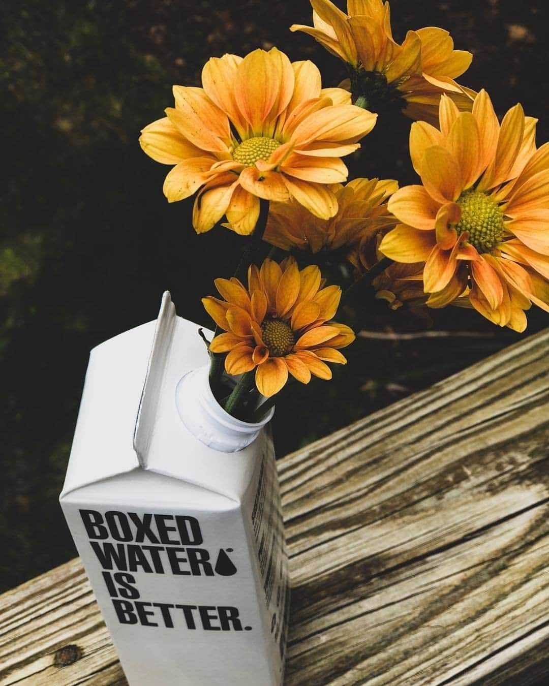 のインスタグラム：「We always recommend refilling your Boxed Water, but this refill is one of a kind! 🌼 📷: @gorgeouslymessy」