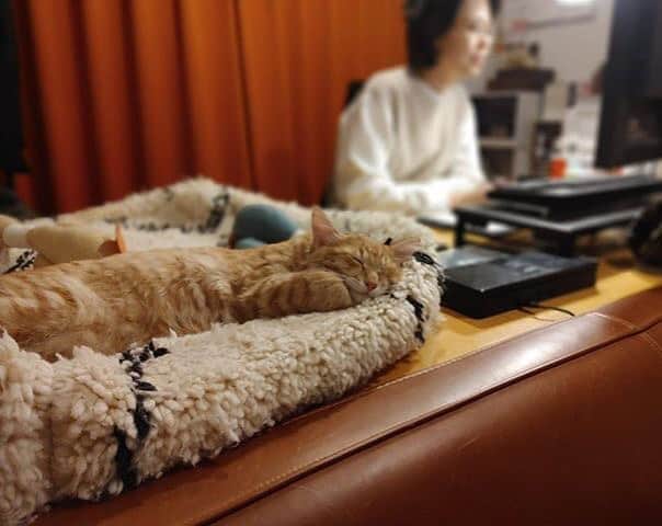 岡田屋鉄蔵のインスタグラム：「何かのCMっぽい絵面」