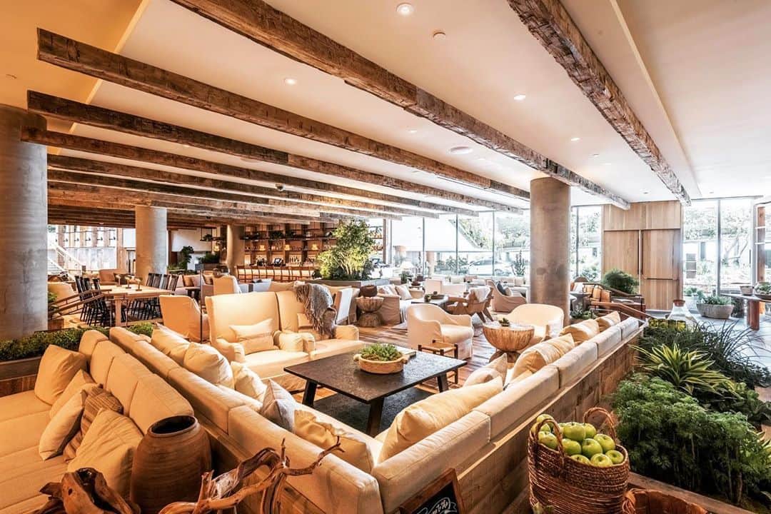のインスタグラム：「隅々まで環境に対する思考が行き渡っているカリフォルニアでは、City型のホテルまでサスティナビリティを重視した造りになってきた。 世界中がこうした流れになるとイイね‼️ ウエストハリウッドの1ホテル、とてもCozyな空間です。  @welove1hotelweho #californiastyle #california #californiadreaming #californialove #ecology #sustinable #hotel #losangeles #socal #hollywood #カリフォルニアスタイル #カリフォルニア #ホテル #ロサンゼルス #カリフォルニア生活 #カリフォルニアライフ #カリフォルニア工務店 #ライフスタイル不動産 #cozy #エコロジー #サスティナブル #環境 #ボヘミアンスタイル」