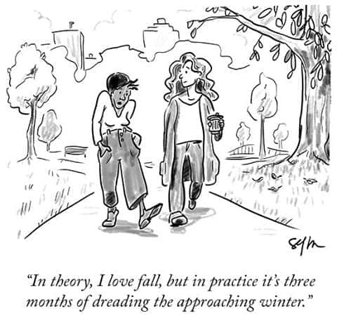 The New Yorkerさんのインスタグラム写真 - (The New YorkerInstagram)「A cartoon by @sofiawarrenart. #NewYorkerCartoons」10月19日 4時30分 - newyorkermag