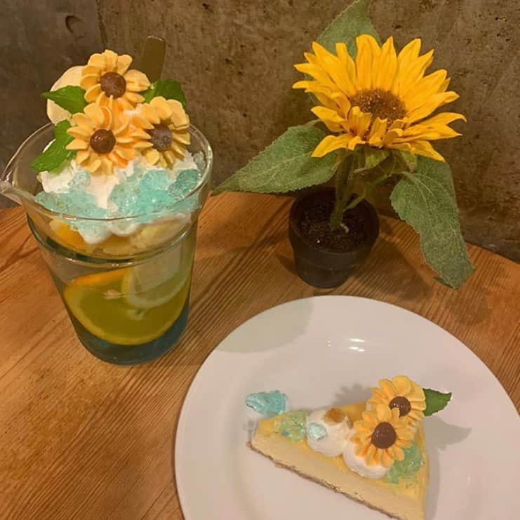 椎名麗のインスタグラム：「🌻」