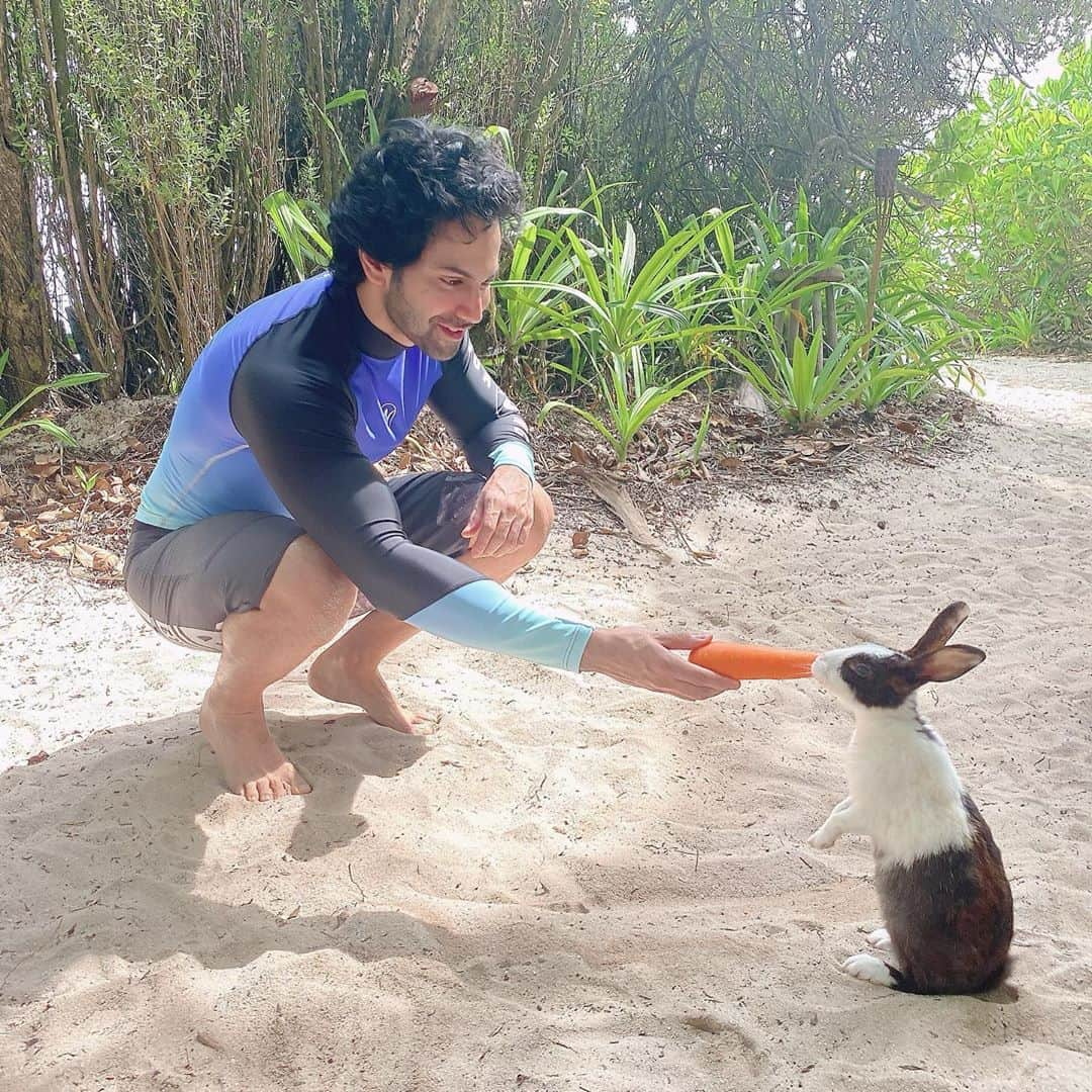 Varun Dhawanさんのインスタグラム写真 - (Varun DhawanInstagram)「Made a new friend 🐰  @discoversoneva  @ncstravels  #sonevafushi」10月19日 14時23分 - varundvn