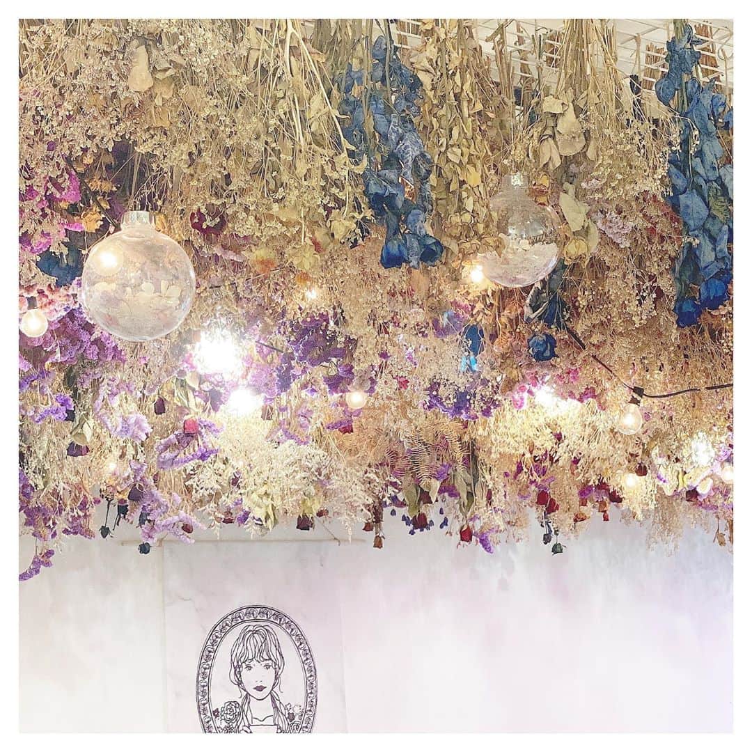 MISAのグルメインスタ