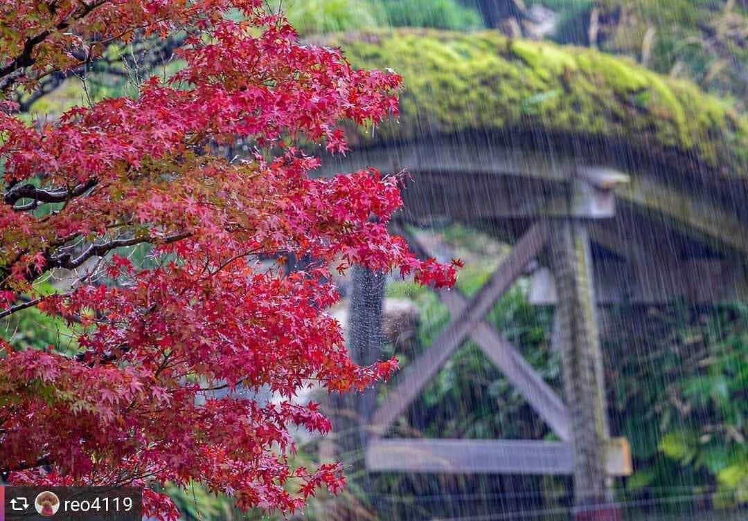 兵庫県のインスタグラム