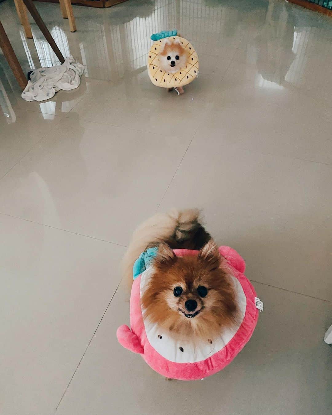 r_oseのインスタグラム：「🍑🍍〰️」