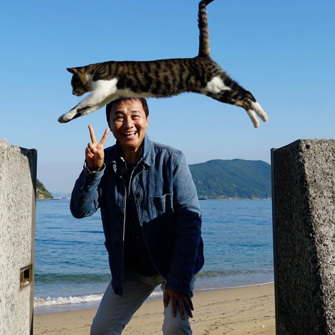 渡辺徹さんのインスタグラム写真 - (渡辺徹Instagram)「香川県  瀬戸内海にある  佐柳島(さなぎじま)  でロケをしてきた。  なんでも  猫の島と言われ  沢山の野良猫が生息し  猫好きにはたまらない  癒しエリアらしい  そこで 　  猫が  目の前をジャンプする  動画が話題を呼び  人気スポットとなった 　  場所があるというので  訪れてみた 　  晴天に恵まれ  その瞬間を  カメラに収めるべく  多くの人が  順番待ちをしている  がしかし  猫たちも  日向ぼっこをしているのみで  なかなか動いてはくれなかった・・・  前の人たちが次々と諦める中  俺の順番が来た。  そこスポットに立つ  すると・・・  (撮影　OHK岡山放送　今川奈緒アナウンサー)  なんということだ‼️  奇跡の瞬間  持っている  渡辺徹は  まだ持っている‼️  としか思えない写真だ！  ま  撮ってくれた  今川奈緒アナウンサーの  腕が良かったとも言えるのだか・・・  本当にありがとうm(__)m  俺は正直  犬派だが  たっぷりと  癒された^ ^  この模様は  岡山、香川の皆さんは  岡山放送「金バク！」  をお楽しみに(^_−)−☆  #渡辺徹 #香川県 #佐柳島 #猫島 #野良猫 #癒しスポット #岡山放送 #金バク #今川奈緒」10月19日 7時16分 - tohru.rugger