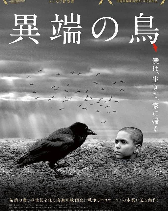 中村松江さんのインスタグラム写真 - (中村松江Instagram)「とてもセンセーショナルな内容というのを聞き、興味津々だった「異端の鳥(原題 Nabarvené ptáče / The Painted Bird)」を鑑賞。 2019年制作、チェコ・スロヴァキア・ウクライナ合作の映画です。 ポーランドの作家イェジー・コシンスキが1965年に発表した同名小説の映画化です。 “僕は、生きて、家に帰る”というのがこの映画のポスターに書いてあるコピーですが、正にそういう内容の作品です。 物凄く綺麗事に内容を説明すると、第二次世界大戦下のヨーロッパを舞台に、ユダヤ人の少年が戦火の中ホロコーストから逃れながら、彼に降りかかる多くの苦難(本当に悲惨過ぎる出来事)を乗り越え、様々な人々(殆どが狂気じみた人達)との出会いと別れを通じて、子どもから大人へ成長していくお話となります。 モノクロの映像が美しくも、余りにも人に優しくない中味が心に刺さる映画でした。 以下なるべく具体的な事は書きませんが、ちょっとネタばれになります。  私は殆ど予備知識無くこの作品を観たので、どこの国が制作したのかも知らずタイトルが英語表記だなと思ったら、何語か判別出来ない言葉が聞こえてきました😲 これ何と映画の舞台となる国や場所を特定されないよう、インタースラーヴィクという人工言語が使われていて、この言語が映画で使用されるのは史上初めてだそうです。 勿論映画に出てくるドイツ軍、ソ連軍はそれぞれドイツ語とロシア語で話しています。 まず映画の始まり、モノクロ画像で自然豊かな田舎の風景というのは見てとれますが、これがどこの国でいつの時代かもわかりませんでした。 しかし話が進むにつれ、どうやら第二次世界大戦中、主人公の少年はユダヤ人でドイツのホロコーストの恐怖の下にあることがわかってきます。 ホロコーストから逃れるために両親と別れ、田舎の親戚の家に疎開した少年が、彼の世話をしていたお婆さんが突然死して身寄りが無くなり、仕方なく一人で苛酷な状況をサバイバルしなければならなくなるのです。 構成は主人公が行く先々で出会う人々の名前がついた全9章からなっています。 とにかくありとあらゆるジャンルの虐待描写のオンパレードで、戦争やホロコーストも含めて、人間という生き物の、恐ろしさ、不条理さ、残酷さ、醜さ、愚かさ等のネガティブな面が少年の目を通して、これでもかと言わんばかりに観客の前に提示されます。(まあ少しは人間の善意も描かれていますが😅) 感触としては1979年、フォルカー・シュレンドルフ監督の「ブリキの太鼓」に近いと感じました。 主役の少年を立派に勤めたのはペトル・コトラール✨ 主人公の人生に関わってくる人々を演じるのは、ステラン・スカルスガルド、ハーヴェイ・カイテル、ジュリアン・サンズ、バリー・ペッパー、ウド・キアー等の国際的に活躍する豪華なベテラン俳優達です。 製作、監督、脚本のチェコのヴァーツラフ・マルホウルは169分の長尺を退屈させませんでした。 この映画のタイトルの由来である鳥のエピソードも鋭く印象に残ります。 人間の本質というか、正体というか、誰しもが抱えているネガティブな側面、醜悪さを忘れずに自覚するためには必要な作品かもしれません。 とは言え長いし不快な内容なので安易に人に薦められない映画ですね。 ちなみに第76回ヴェネツィア国際映画祭ユニセフ賞受賞しています。 #歌舞伎 #中村松江 #異端の鳥 #thepaintedbird #nabarvenéptáče  #václavmarhoul」10月19日 8時12分 - matsue_nakamuraofficial