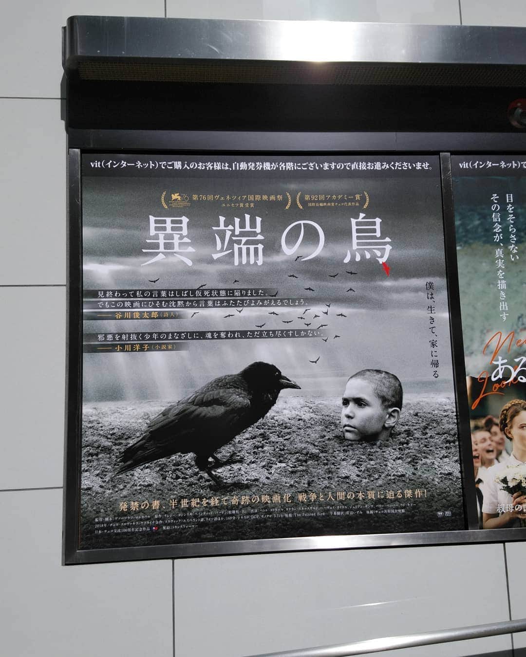 中村松江さんのインスタグラム写真 - (中村松江Instagram)「とてもセンセーショナルな内容というのを聞き、興味津々だった「異端の鳥(原題 Nabarvené ptáče / The Painted Bird)」を鑑賞。 2019年制作、チェコ・スロヴァキア・ウクライナ合作の映画です。 ポーランドの作家イェジー・コシンスキが1965年に発表した同名小説の映画化です。 “僕は、生きて、家に帰る”というのがこの映画のポスターに書いてあるコピーですが、正にそういう内容の作品です。 物凄く綺麗事に内容を説明すると、第二次世界大戦下のヨーロッパを舞台に、ユダヤ人の少年が戦火の中ホロコーストから逃れながら、彼に降りかかる多くの苦難(本当に悲惨過ぎる出来事)を乗り越え、様々な人々(殆どが狂気じみた人達)との出会いと別れを通じて、子どもから大人へ成長していくお話となります。 モノクロの映像が美しくも、余りにも人に優しくない中味が心に刺さる映画でした。 以下なるべく具体的な事は書きませんが、ちょっとネタばれになります。  私は殆ど予備知識無くこの作品を観たので、どこの国が制作したのかも知らずタイトルが英語表記だなと思ったら、何語か判別出来ない言葉が聞こえてきました😲 これ何と映画の舞台となる国や場所を特定されないよう、インタースラーヴィクという人工言語が使われていて、この言語が映画で使用されるのは史上初めてだそうです。 勿論映画に出てくるドイツ軍、ソ連軍はそれぞれドイツ語とロシア語で話しています。 まず映画の始まり、モノクロ画像で自然豊かな田舎の風景というのは見てとれますが、これがどこの国でいつの時代かもわかりませんでした。 しかし話が進むにつれ、どうやら第二次世界大戦中、主人公の少年はユダヤ人でドイツのホロコーストの恐怖の下にあることがわかってきます。 ホロコーストから逃れるために両親と別れ、田舎の親戚の家に疎開した少年が、彼の世話をしていたお婆さんが突然死して身寄りが無くなり、仕方なく一人で苛酷な状況をサバイバルしなければならなくなるのです。 構成は主人公が行く先々で出会う人々の名前がついた全9章からなっています。 とにかくありとあらゆるジャンルの虐待描写のオンパレードで、戦争やホロコーストも含めて、人間という生き物の、恐ろしさ、不条理さ、残酷さ、醜さ、愚かさ等のネガティブな面が少年の目を通して、これでもかと言わんばかりに観客の前に提示されます。(まあ少しは人間の善意も描かれていますが😅) 感触としては1979年、フォルカー・シュレンドルフ監督の「ブリキの太鼓」に近いと感じました。 主役の少年を立派に勤めたのはペトル・コトラール✨ 主人公の人生に関わってくる人々を演じるのは、ステラン・スカルスガルド、ハーヴェイ・カイテル、ジュリアン・サンズ、バリー・ペッパー、ウド・キアー等の国際的に活躍する豪華なベテラン俳優達です。 製作、監督、脚本のチェコのヴァーツラフ・マルホウルは169分の長尺を退屈させませんでした。 この映画のタイトルの由来である鳥のエピソードも鋭く印象に残ります。 人間の本質というか、正体というか、誰しもが抱えているネガティブな側面、醜悪さを忘れずに自覚するためには必要な作品かもしれません。 とは言え長いし不快な内容なので安易に人に薦められない映画ですね。 ちなみに第76回ヴェネツィア国際映画祭ユニセフ賞受賞しています。 #歌舞伎 #中村松江 #異端の鳥 #thepaintedbird #nabarvenéptáče  #václavmarhoul」10月19日 8時12分 - matsue_nakamuraofficial