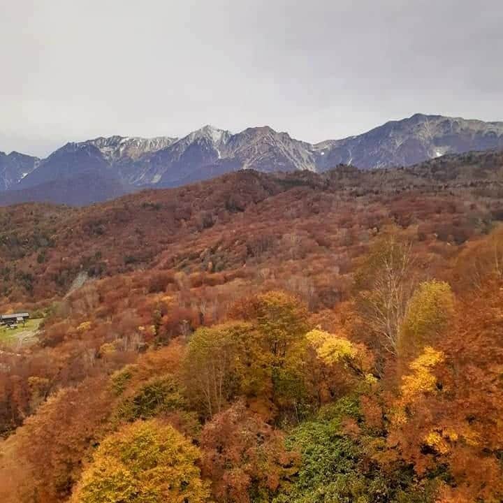 栂池高原スキー場のインスタグラム