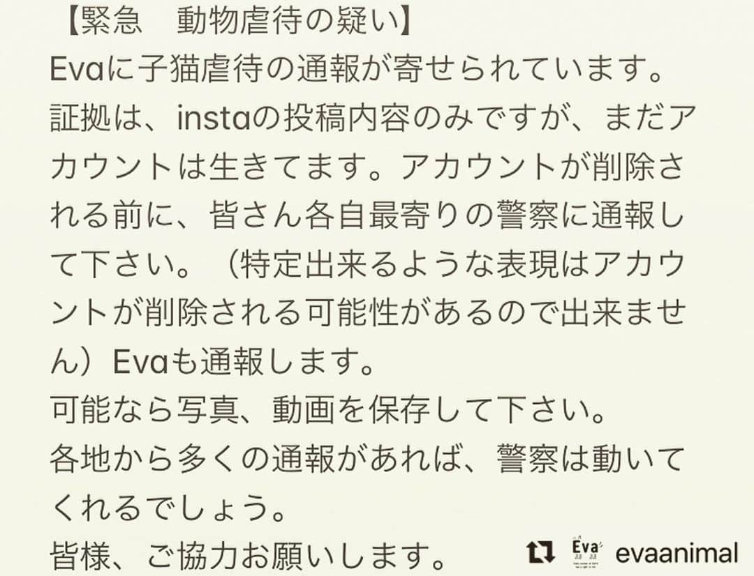 杉本彩さんのインスタグラム写真 - (杉本彩Instagram)「#Repost @evaanimal with @make_repost ・・・ 【緊急　動物虐待の疑い】 Evaに子猫虐待の通報が寄せられています。  証拠は、instaの投稿内容のみですが、まだアカウントは生きてます。  アカウントが削除される前に、皆さん各自最寄りの警察に通報して下さい。  （特定出来るような表現はアカウントが削除される可能性があるので出来ません）  Evaも通報します。 可能なら写真、動画を保存して下さい。  各地から多くの通報があれば、警察は動いてくれるでしょう。  皆様、ご協力お願いします。  #動物虐待は犯罪です  #動物虐待を許さない  #公益財団法人動物環境福祉協会Eva」10月19日 8時45分 - sugimoto_aya0719