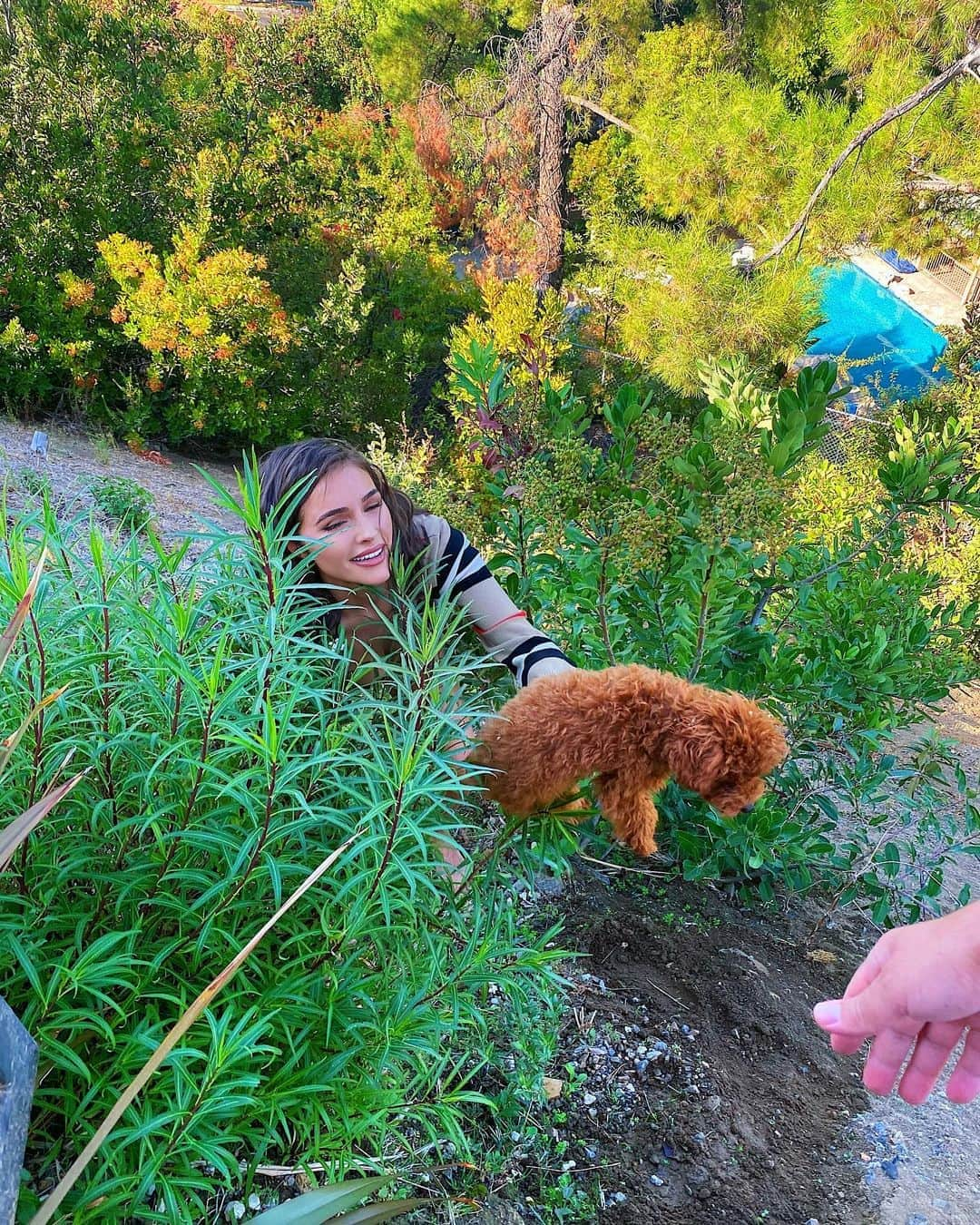 オリビア・カルポさんのインスタグラム写真 - (オリビア・カルポInstagram)「Was feeling cute today until I had to scale a cliff to save my dog 😅😂」10月19日 9時11分 - oliviaculpo