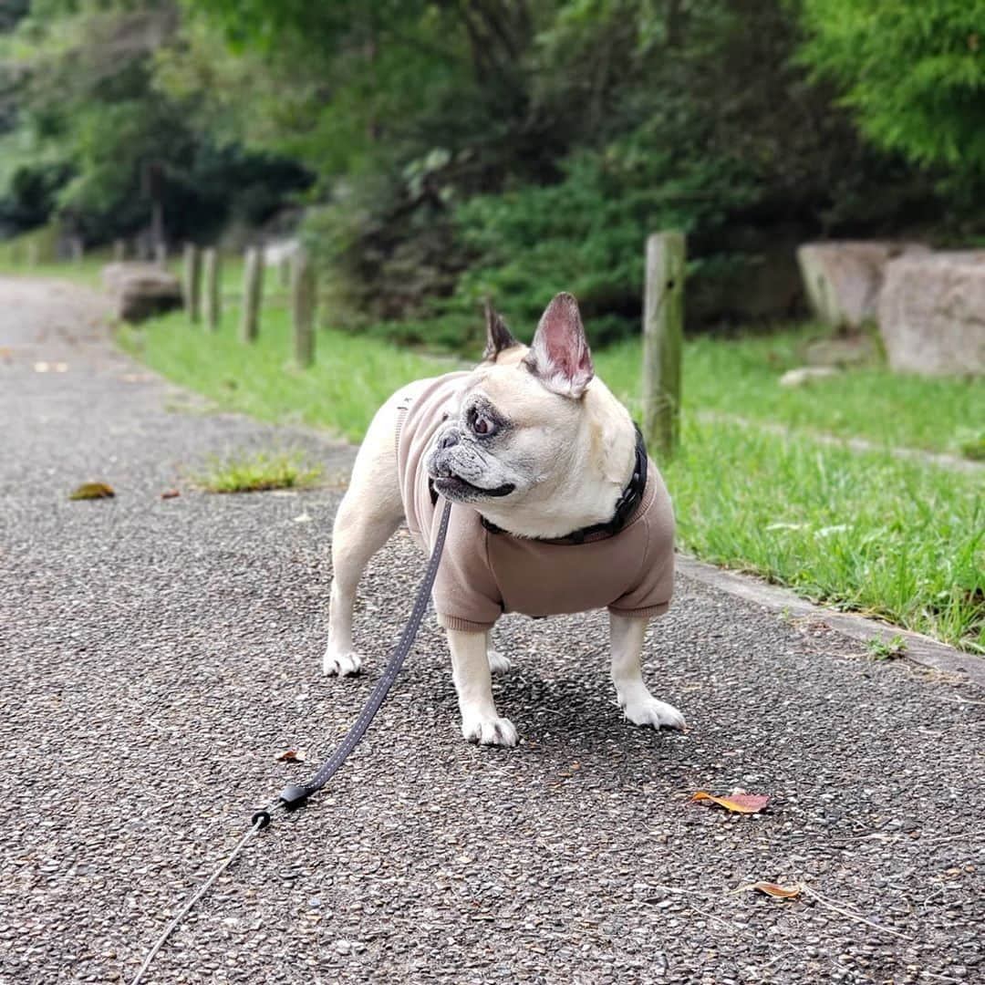 tamiのインスタグラム