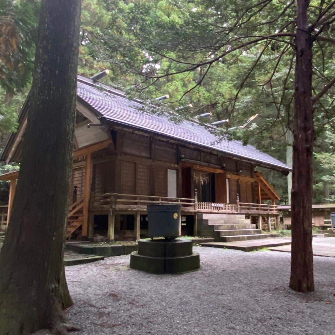 武藤乃子さんのインスタグラム写真 - (武藤乃子Instagram)「⛩ 前橋市三夜沢町の赤城神社。  看板の前を通りかかって「寄って行く？」と、Uターンしてお参りしましたが、後で調べたら、全国に何百とある赤城神社の総本山かも…との説がある場所の1つでした。驚いた！  境内に茂る古木の数々は、思わず声が出るほどで、圧巻でした。 気持ち良かった！  #赤城神社 #三夜沢赤城神社  #神社巡り #群馬県  #前橋市」10月19日 9時30分 - muto_noriko.11