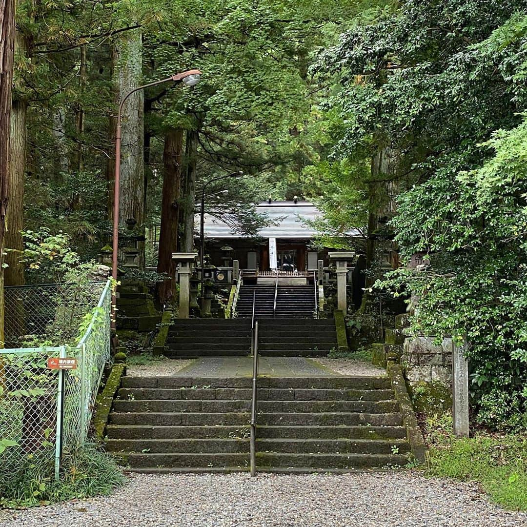 武藤乃子さんのインスタグラム写真 - (武藤乃子Instagram)「⛩ 前橋市三夜沢町の赤城神社。  看板の前を通りかかって「寄って行く？」と、Uターンしてお参りしましたが、後で調べたら、全国に何百とある赤城神社の総本山かも…との説がある場所の1つでした。驚いた！  境内に茂る古木の数々は、思わず声が出るほどで、圧巻でした。 気持ち良かった！  #赤城神社 #三夜沢赤城神社  #神社巡り #群馬県  #前橋市」10月19日 9時30分 - muto_noriko.11