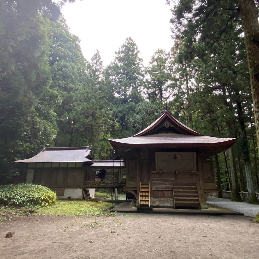 武藤乃子さんのインスタグラム写真 - (武藤乃子Instagram)「⛩ 前橋市三夜沢町の赤城神社。  看板の前を通りかかって「寄って行く？」と、Uターンしてお参りしましたが、後で調べたら、全国に何百とある赤城神社の総本山かも…との説がある場所の1つでした。驚いた！  境内に茂る古木の数々は、思わず声が出るほどで、圧巻でした。 気持ち良かった！  #赤城神社 #三夜沢赤城神社  #神社巡り #群馬県  #前橋市」10月19日 9時30分 - muto_noriko.11