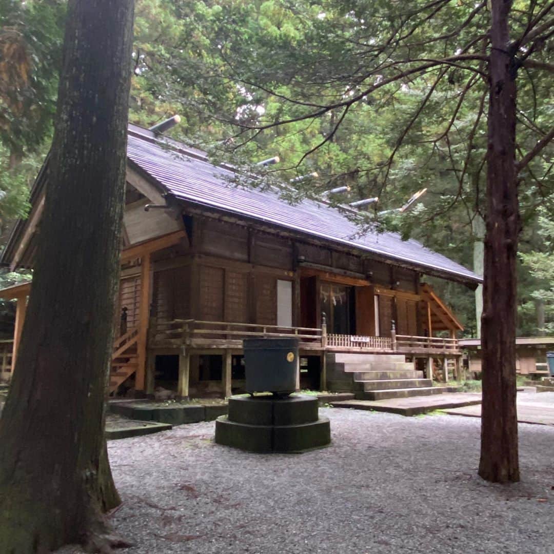 武藤乃子のインスタグラム：「⛩ 前橋市三夜沢町の赤城神社。  看板の前を通りかかって「寄って行く？」と、Uターンしてお参りしましたが、後で調べたら、全国に何百とある赤城神社の総本山かも…との説がある場所の1つでした。驚いた！  境内に茂る古木の数々は、思わず声が出るほどで、圧巻でした。 気持ち良かった！  #赤城神社 #三夜沢赤城神社  #神社巡り #群馬県  #前橋市」
