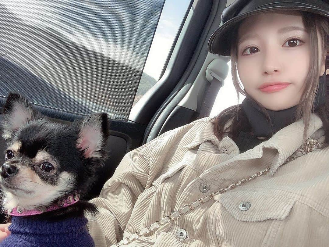 黒川さりなさんのインスタグラム写真 - (黒川さりなInstagram)「. ここちゃんと初旅行🐕♥️ 母親と実家のいっぬ ここちゃんと同い年の子 連れて4にんで行ってきました✨ その間、 ラキちゃんはお留守番。 来年は、みんなで行こうね🥺💓 . #犬のいる暮らし #犬旅 #犬旅行 #いぬすたぐらむ #いぬのいる暮らし #犬バカ部 #犬好きな人と繋がりたい #チワワ部 #チワワ多頭飼い #チワワ大好き #ロングコートチワワ」10月19日 9時39分 - momo_sari02