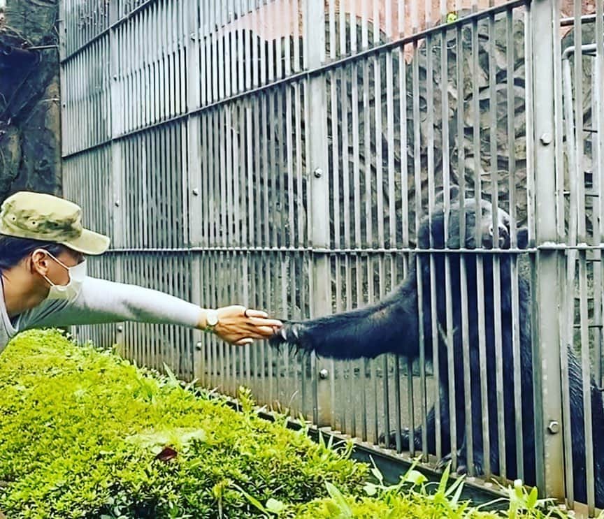 のインスタグラム：「finally got to see you guys.」