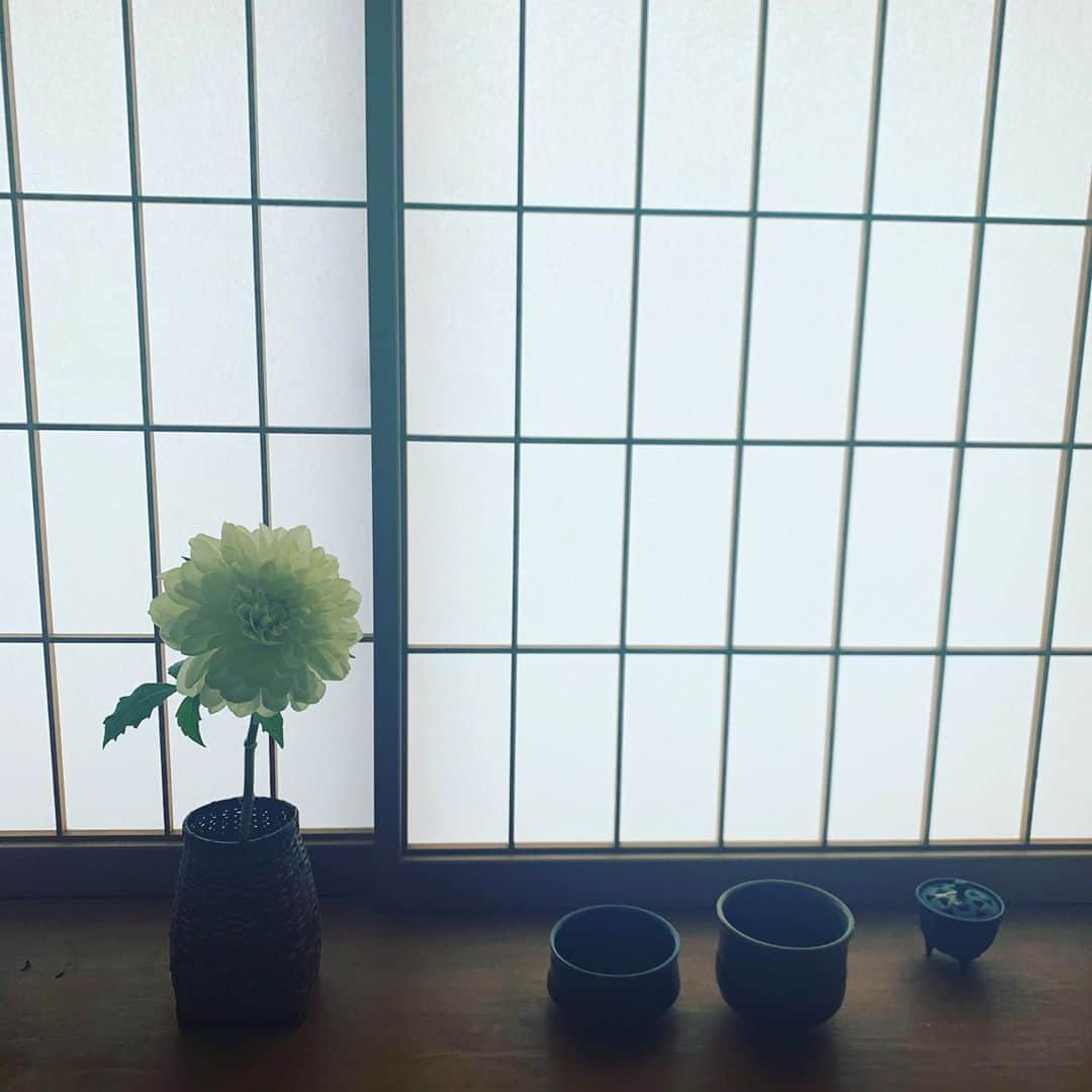 クリス智子さんのインスタグラム写真 - (クリス智子Instagram)「今日は肌寒いですね。着込んでます。  週末は、大きめの花に目がいき、こんなことになりました。 若干大きすぎたかもしれませんが...見るたびに存在感を楽しんでいます。 内にこもりがちな秋冬には、パッと。」10月19日 11時15分 - chris_tomoko