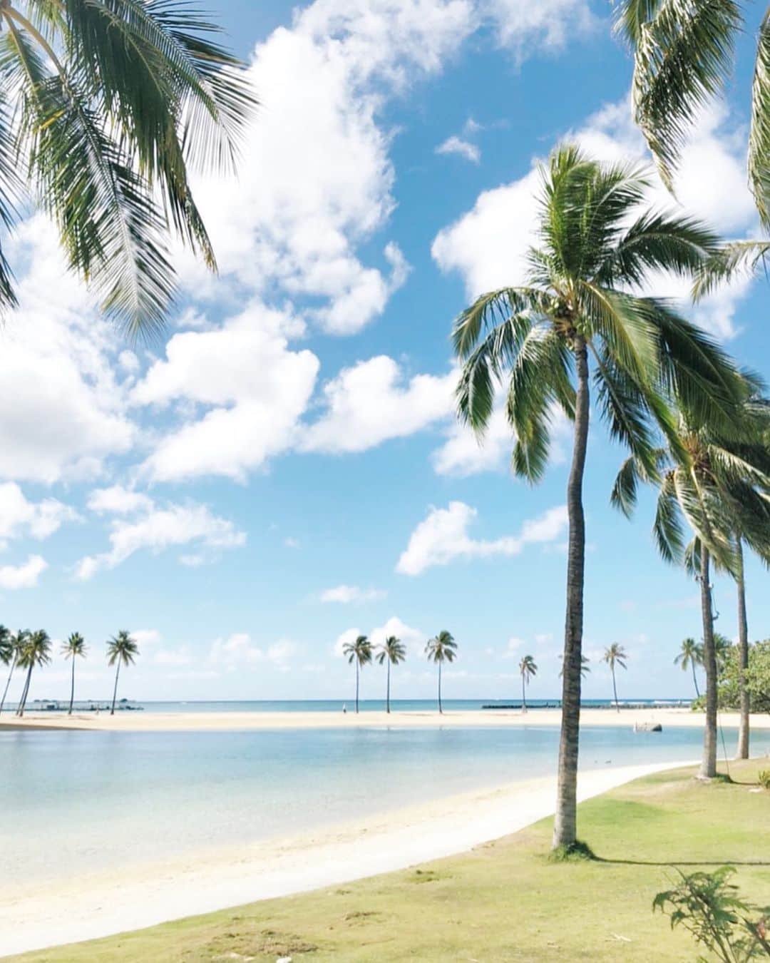 ALOHA☆GIRL 【アロハガール】さんのインスタグラム写真 - (ALOHA☆GIRL 【アロハガール】Instagram)「ハワイの不動産の魅力！物件を法人購入するメリットとは？  楽園ハワイの不動産は、年数がたってもその価値が落ちにくいとも言われますが、それは果たして本当なのか？その理由は何なのか？税率、経費、渡航費用？ハワイの物件を法人購入することのメリットとは👍🏼  https://alohagirl.me/I0001920  #alohagirl #mahalo #hundreddreams #ハワイ #ホノルル #オアフ #ワイキキ #アロハ #アロハガール #ハンドレッドドリームス #ハワイ旅行 #ハワイ大好き #ハワイ好き #ハワイ在住 #ハワイ好きな人と繋がりたい #deckwaikiki #コーヒー #カフェ #写真好きな人と繋がりたい #wholefoods #ホールフーズマーケット #acaibowl #アサイーボウル #カハラホテル #カハラホテル横浜」10月19日 11時25分 - alohagirl.me