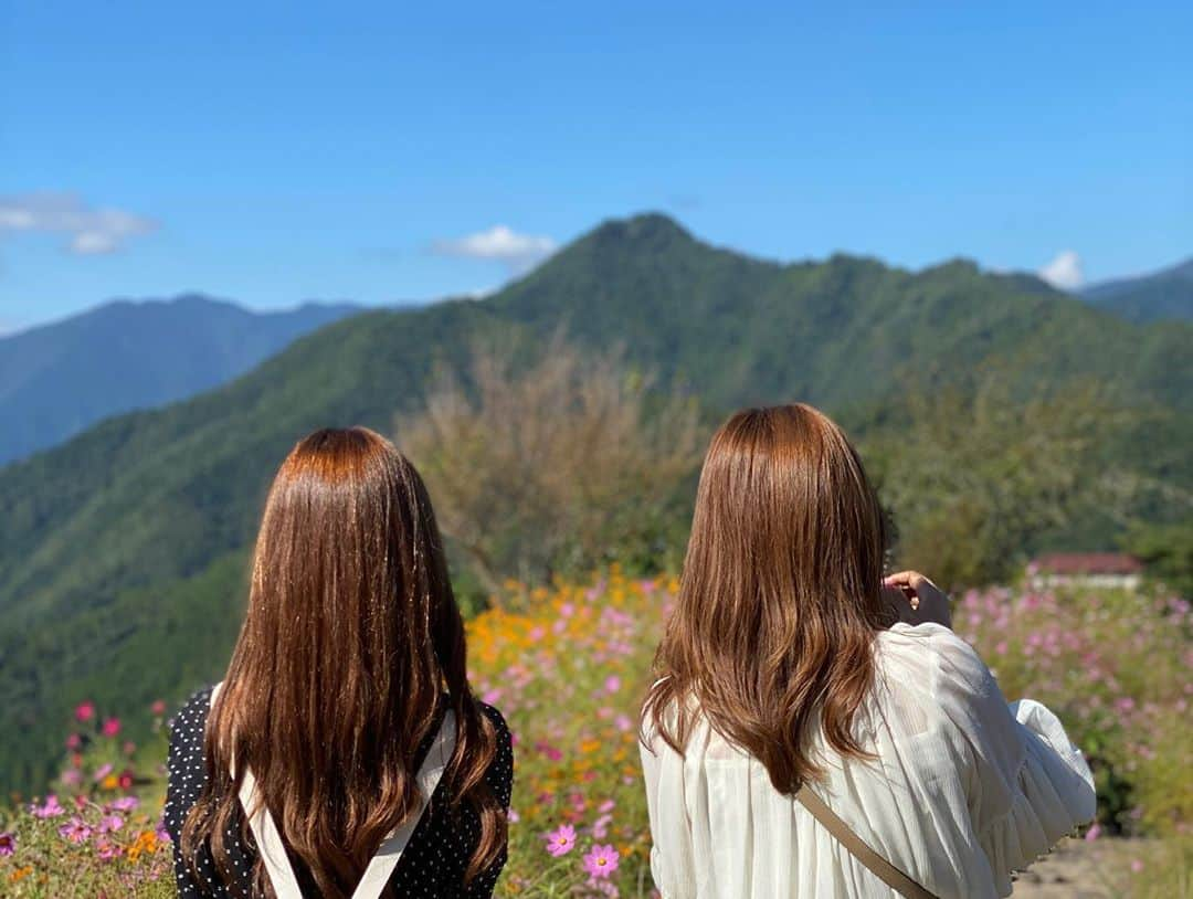 松井絵里奈さんのインスタグラム写真 - (松井絵里奈Instagram)「奈良県十津川村滞在記〜  木の温もりを感じる 古民家をリノベーションされた「大森の郷」で宿泊。  明日香村で買った 美味しいお野菜を持って行って、お宿で調理👩‍🍳  可愛い妹2人(実の妹と妹のお友達)が美味しく食べてくれる姿に、姉はただただ幸せ🤤 という顔がバレて2人に大爆笑されるという。。 (終始、心がほくほくしました♡)  早く眠るつもりが、 食の話、恋愛の話 これからの人生の話に 花が咲いて… 結局夜中まで語り尽くす。  十津川村で見た星空。 流れ星を探して首がもげとれそうになったけれど…笑  何度も流れ星が見られて 都会では味わえない非日常体験に 身も心も充実しました。  疲れたら、休憩したらいい。  頑張っている自分を 労ってあげて欲しい。  鈍感力も大切だと20代前半の自分は思っていたけれど、 敏感に色々と感じる身体だからこそ、自分のメンテナンスが出来るようになった気がします。  どうか、身体を心を大切に🤝  #奈良県十津川村 #自分の癒し方 #癒しのお友達 #旅の思い出  #ありがとう #源泉掛け流し #疲れたら休もうね  #自分の好きを大切に  #松井絵里奈」10月19日 11時38分 - erina74xx