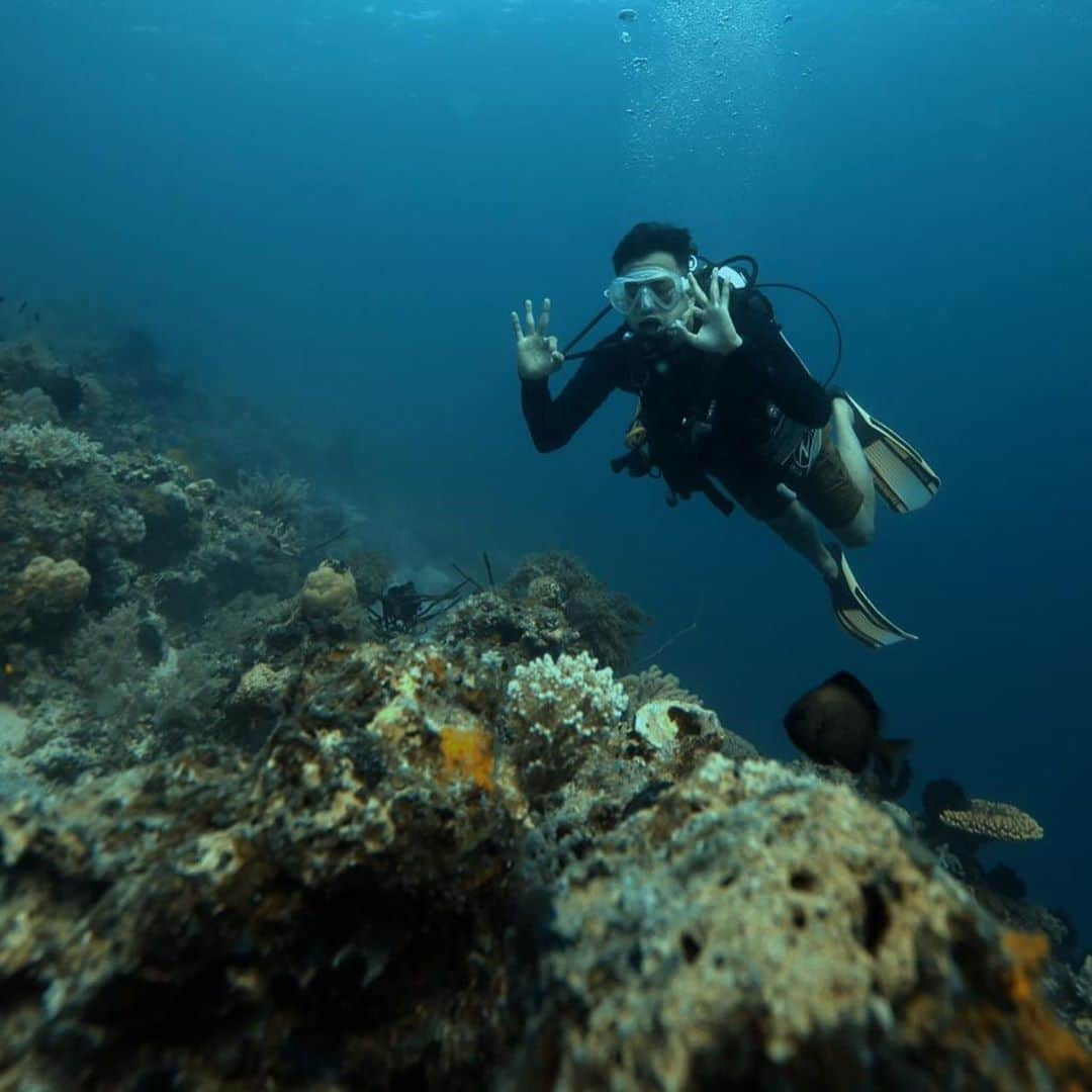 Raffi Ahmadさんのインスタグラム写真 - (Raffi AhmadInstagram)「❤️ Divinggg ❤️ Best experieeenceeeeee ❤️❤️❤️❤️ Langsungg jagoooooo 🏊🏼‍♀️ @indonesiajuaratrip  📸 @gungafif」10月19日 12時10分 - raffinagita1717