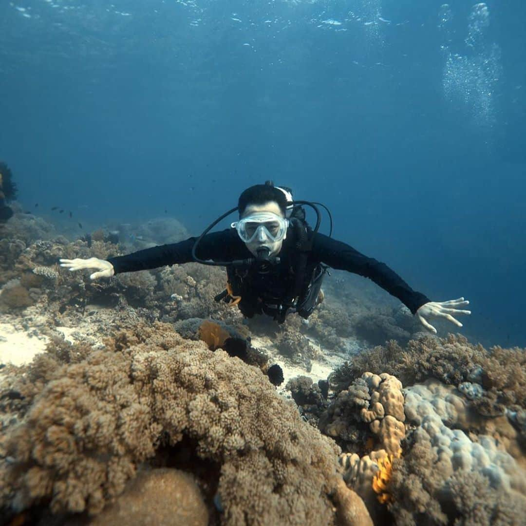 Raffi Ahmadさんのインスタグラム写真 - (Raffi AhmadInstagram)「❤️ Divinggg ❤️ Best experieeenceeeeee ❤️❤️❤️❤️ Langsungg jagoooooo 🏊🏼‍♀️ @indonesiajuaratrip  📸 @gungafif」10月19日 12時10分 - raffinagita1717