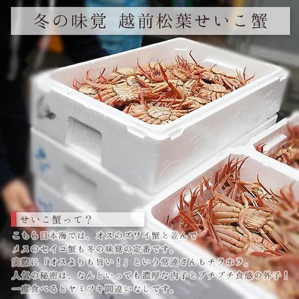 越前かに職人　甲羅組さんのインスタグラム写真 - (越前かに職人　甲羅組Instagram)「10月も後半になり、毎年ｿﾜｿﾜする季節が迫ってまいりました…  そう！11月6日は「越前がに」「せいこ蟹」の解禁日です🦀  こちら日本海では、オスのズワイ蟹と並んでメスのセイコ蟹も冬の味覚の定番です。 実際に「オスよりも旨い！」という常連さんもチラホラ。 人気の秘密は、なんといっても濃厚な内子とプチプチ食感の外子！ 一度食べるとヤミツキ間違いなしです。  しかも、今回は茹でたてを未冷凍でお届けする特別限定企画です。入荷次第の発送となりますので、お届け日のご指定はできませんが、旬ならではの美味しさをご自宅にいながら存分にご堪能できます。  現在１万件ほどのご予約を頂いておりまして、11月6日の解禁日～入荷次第ご注文順に発送となります🦀✨  #甲羅組#越前がに#せいこ蟹#冬の味覚#お取り寄せグルメ#予約販売#11月6日解禁#蟹#かに#crab#カニ#越前かに職人甲羅組#福井グルメ#越前グルメ#楽天グルメ」10月19日 12時07分 - kouragumi