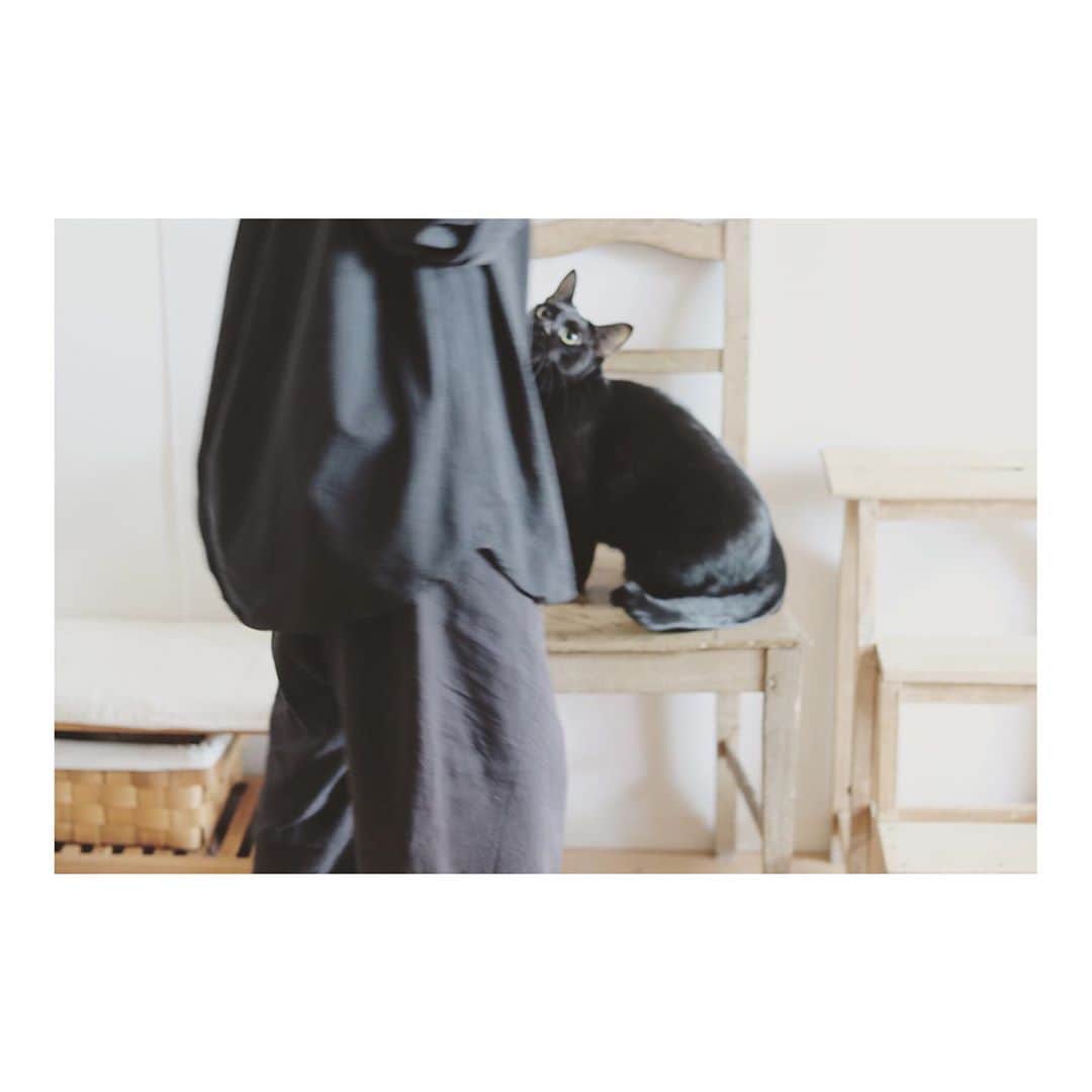 こむぎのインスタグラム：「* 何でもない写真なんだけど… 元々黒い服が好きだったけど、 ごまちゃんをお迎えしたことで より黒い物を選ぶことが多くなった😂 車も黒にしちゃったし(汚れやすいのに😂) たまに黒だと怖がりな猫ちゃんに 嫌われちゃうことあるから 出張撮影はできるだけ白とかグレーを 着ています…🤔 #黒猫ごま味 #今日もしおくんに会いに行ってきます」