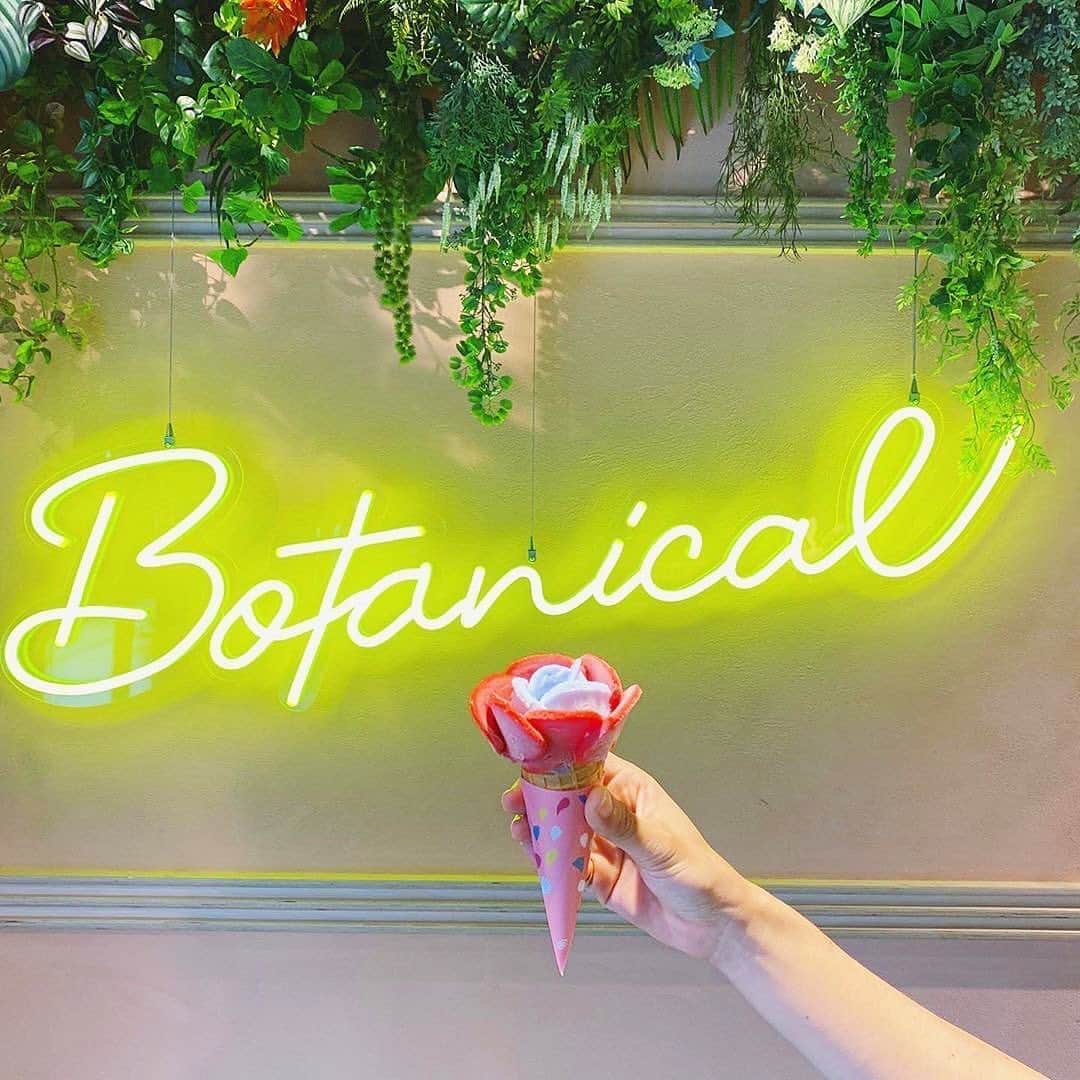 のインスタグラム：「オーガニックハーブやスパイスを使った﻿ フラワージェラートって知ってる？♡﻿ ﻿ ﻿ 横浜駅に6月オープンした商業施設Newman横浜内にある、「ALL GOOD STORE」。﻿ ﻿ ﻿ こちらでは、オーガニックハーブやスパイスを使った珍しいジェラートがいただけます。﻿ ﻿ ﻿ ジェラートは花びらの中心と外側部分の2種類を選ぶことができ、自分の好みでカスタマイズできるのも魅力の一つ！﻿ ﻿ ﻿ お花屋さんとも併設しているので、視覚でも楽しむことができます。﻿ ﻿ ﻿ ぜひ、気になる方は訪れてみてください♪﻿ ﻿ ﻿ 【ALL GOOD STORE】﻿ 住所: 神奈川県横浜市西区南幸1-1-1 NEWoMan横浜 6F﻿ 営業時間: [月～金]11:00～20:00﻿ 　　　　　[土・日・祝]11:00～19:00﻿ 定休日:不定休﻿ ﻿ ﻿ photo by﻿ @_tomoko___k﻿ @cocoa_nagano﻿ @mamiii__913﻿ @chisakiarai﻿ ﻿ ﻿ #isuta #イスタ #isutapic ﻿ #allgoodstore #オールグッドストア ﻿ #ニュウマン横浜 #newoman横浜 #神奈川カフェ ﻿ #横浜カフェ #アイスクリーム #神奈川グルメ﻿ #ジェラート #カフェ巡り #横浜グルメ ﻿ #isutacafe #おしゃれカフェ #カフェスタグラム ﻿ #神奈川カフェ巡り #横浜カフェ巡り #フラワージェラート ﻿ #カフェ巡り好きな人と繋がりたい ﻿ #cafestagram #カフェ #カフェ好き﻿ #お洒落な人と繋がりたい ﻿ #カフェ好きな人と繋がりたい」
